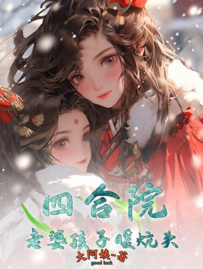 四合院一大爷养子
