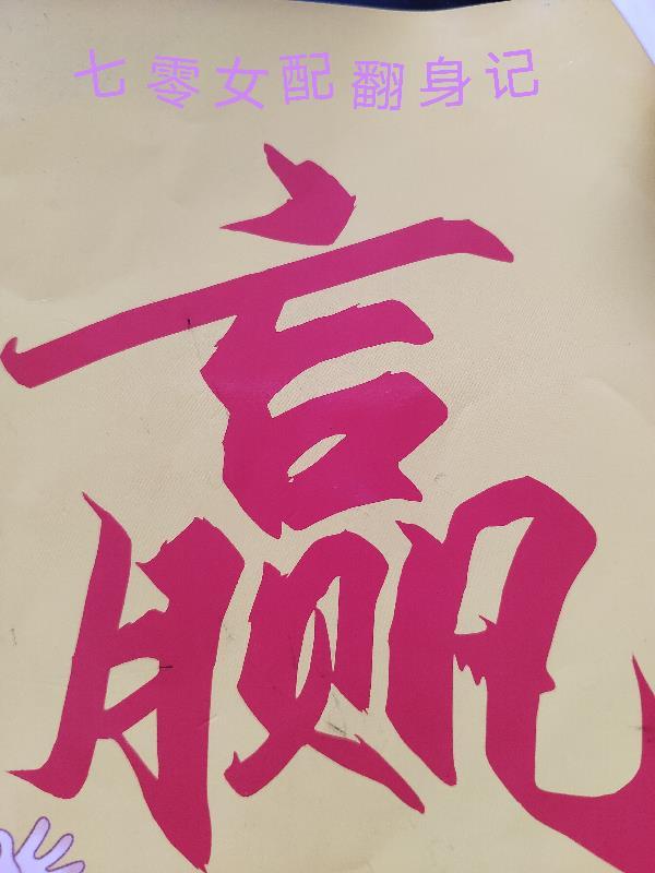 七零女配翻身记文桐桐