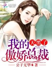 傲娇先生歌词封茗囧菌