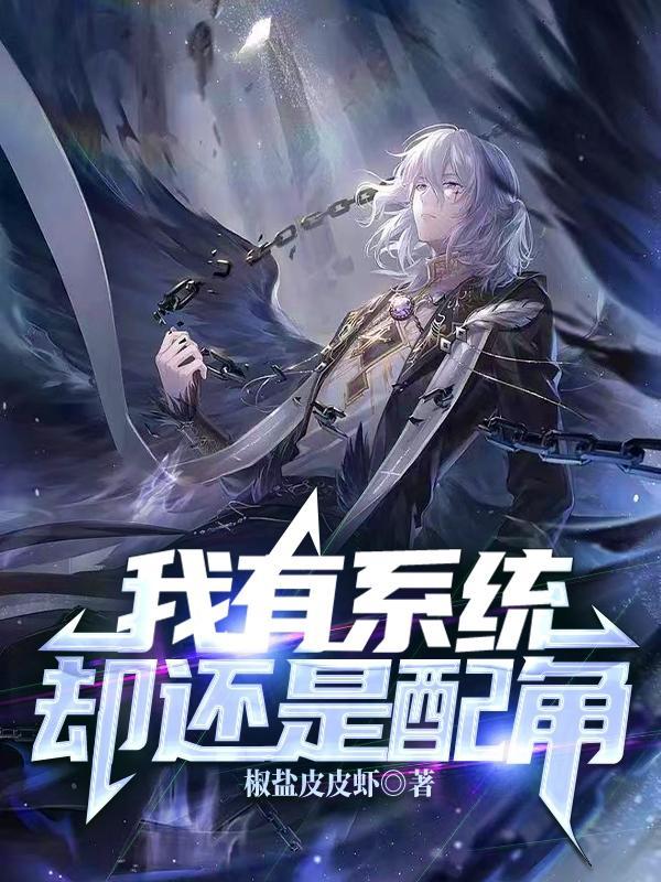 我有系统我就不用