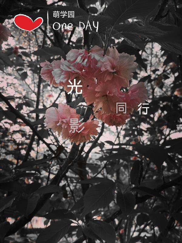 萌学园之光与暗的最终对决