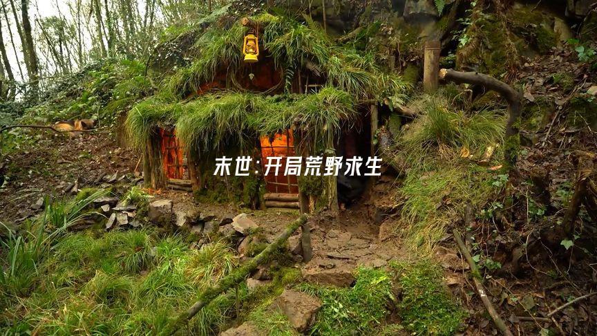 末日求生开局流落荒岛