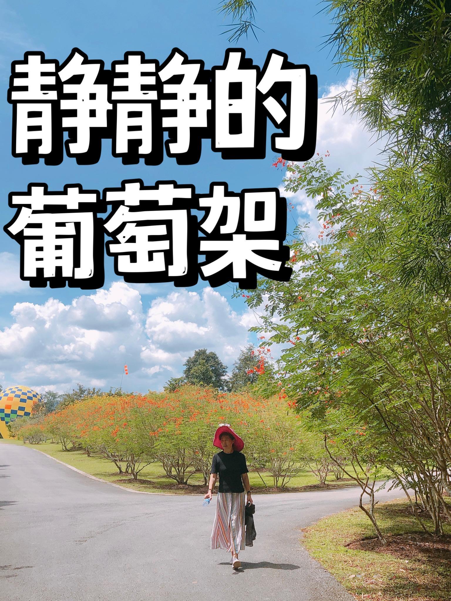 葡萄架下的院落阅读答案