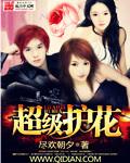 超级护花天王苏锐