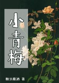 小青梅在线阅读