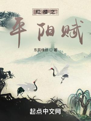 红楼之平阳赋百度百科
