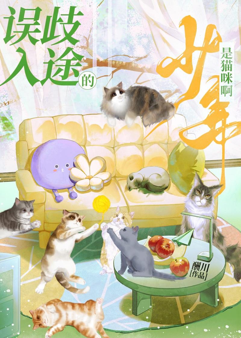误入歧途的少年是猫咪啊番外篇