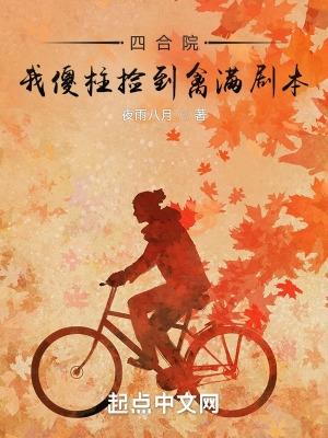 四合院我傻柱捡到禽满剧本文博中文