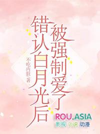攻认错白月光