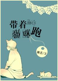 带猫出去玩猫跑了怎么办