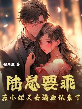 陆少爵苏小小免费阅读