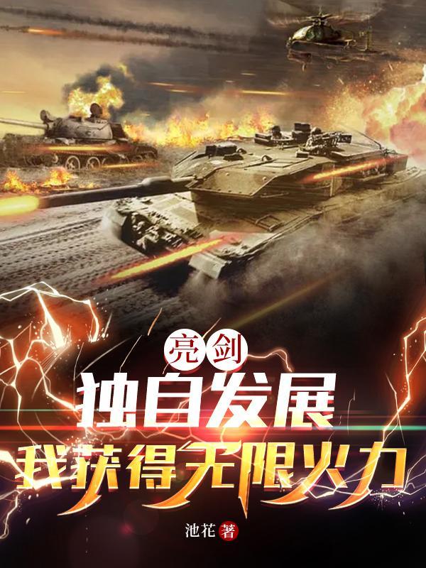 亮剑我的独立团