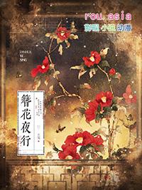 簪花夜行gl笔趣阁无弹窗