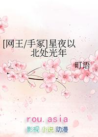 网王之星光