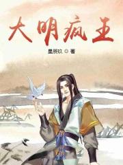 大明风年