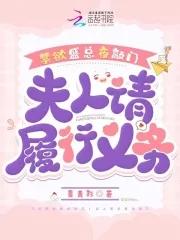 第二本盛总