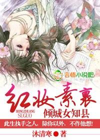红妆素裹倾城女知县txt