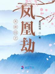 天命凰谋最新章节无弹窗全文免费阅读