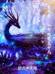 精灵宝可梦之小智的旅程
