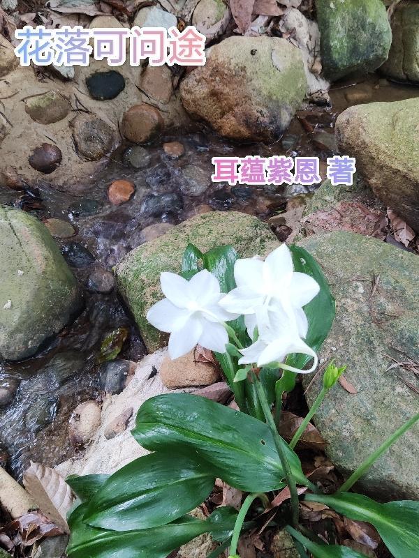 花落不问归期是什么意思?