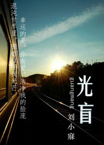 光盲by刘小寐讲了什么
