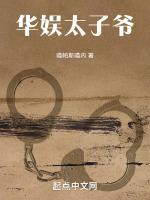 华娱太子爷txt