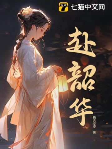 赴韶华的意思