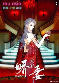 家有神秘娇妻gl介绍
