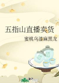 五指山商贸有限公司