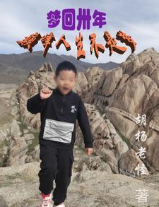 梦回巅峰是什么意思