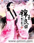 锦玉良缘攻略