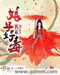 娘子有毒txt