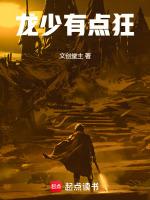 男主叫龙少