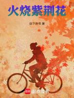 火烧紫荆花2是否好看