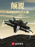 美利坚巅峰人生免费阅读