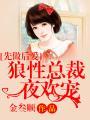 先做后爱狼性总裁夜欢宠g