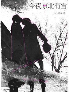 今夜京北有雪TXT云盘