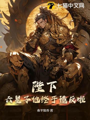 六皇子立大功