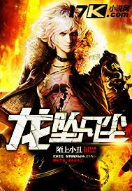 龙坠凡尘100集免费观看
