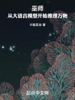巫师从大语言模型开始推理万物笔趣阁