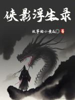 侠影记分集剧情