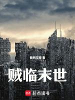 末世盗贼行 百科