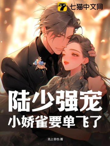 陆少盛宠小娇全文免费阅读