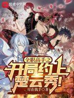 全职高手之征服楚云秀