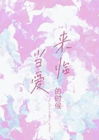 当爱来临的时候dj