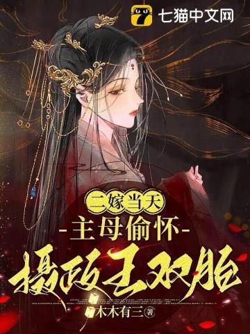 二嫁皇上