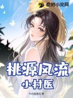 桃源风流小村医连续剧