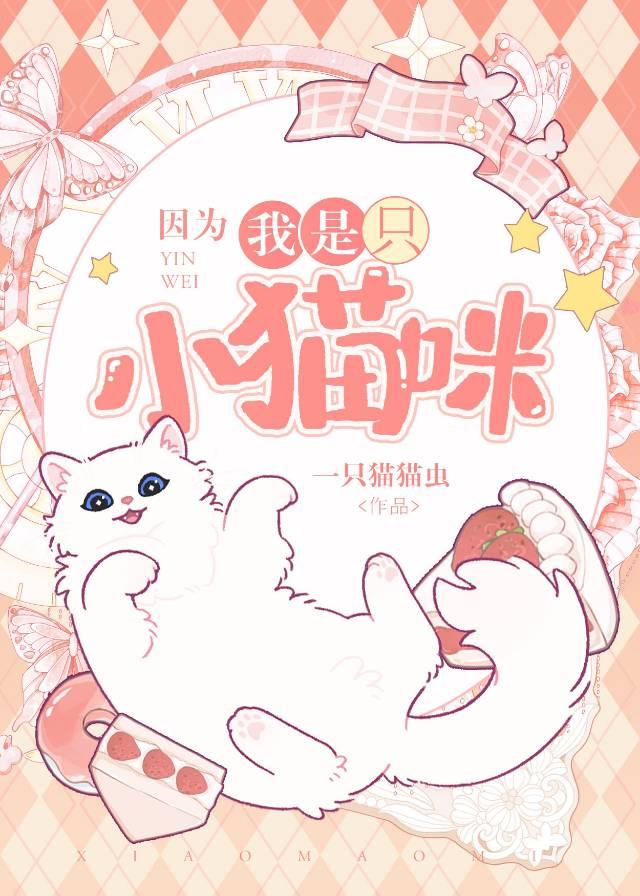 所以我没法跟你解释