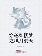 穿越红楼梦肉