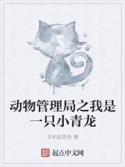 动物管理局我是一只狐狸的歌